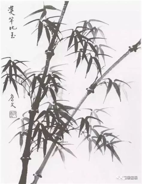 竹子 畫法|国画教学：竹子水墨写意画，写意竹子画法画法步骤图